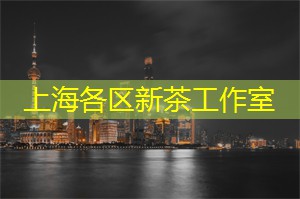 带你游遍上海，发现不一样的都市风情